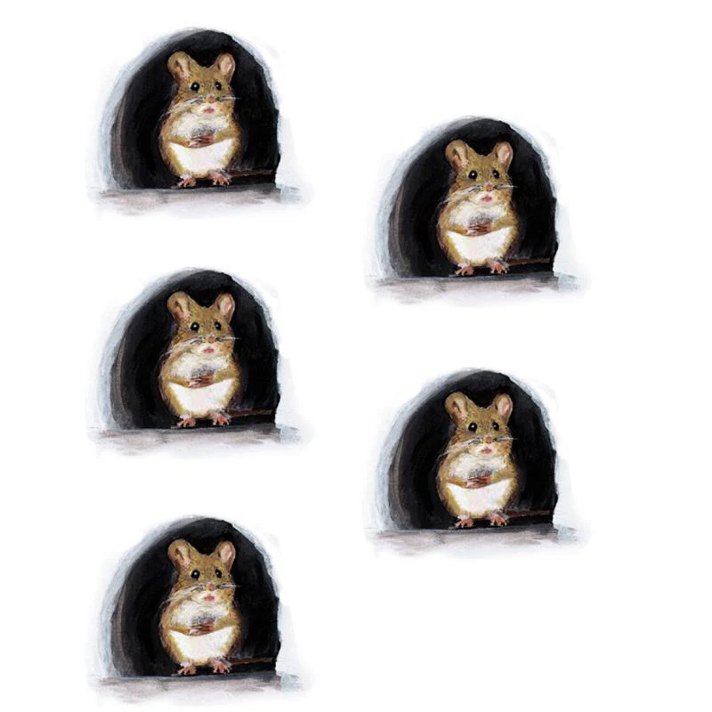 Thumbnail 25